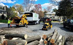 Best Commercial Tree Services  in Silver Bay, MN